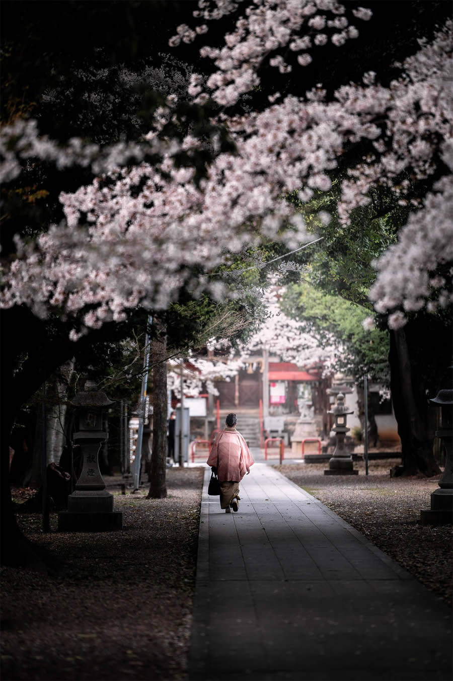 Japan Landscape Photography by Hiroki Matsubara