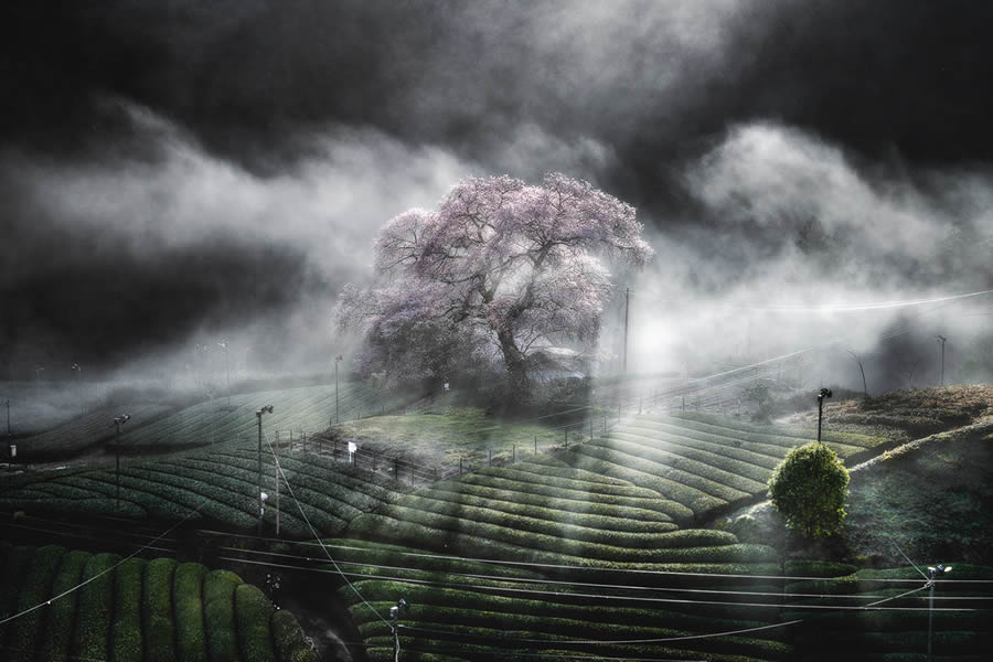 Japan Landscape Photography by Hiroki Matsubara