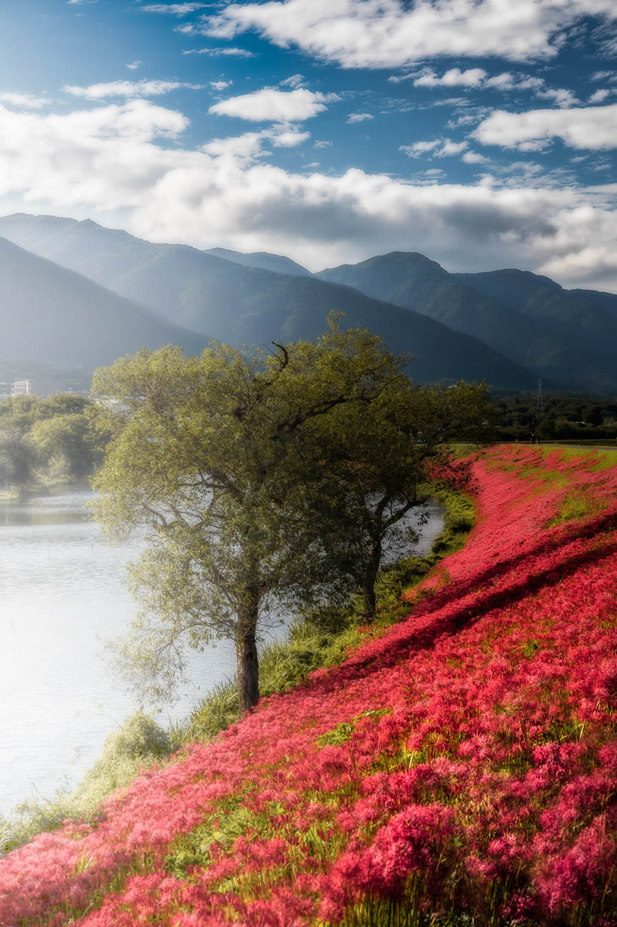 Japan Landscape Photography by Hiroki Matsubara