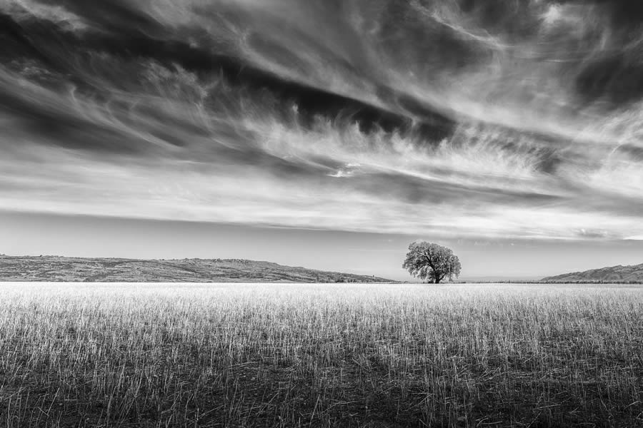 Long Exposure Black and White Landscape Photography by Jana Luo