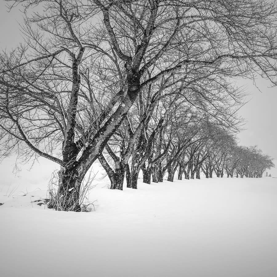 Long Exposure Black and White Landscape Photography by Jana Luo