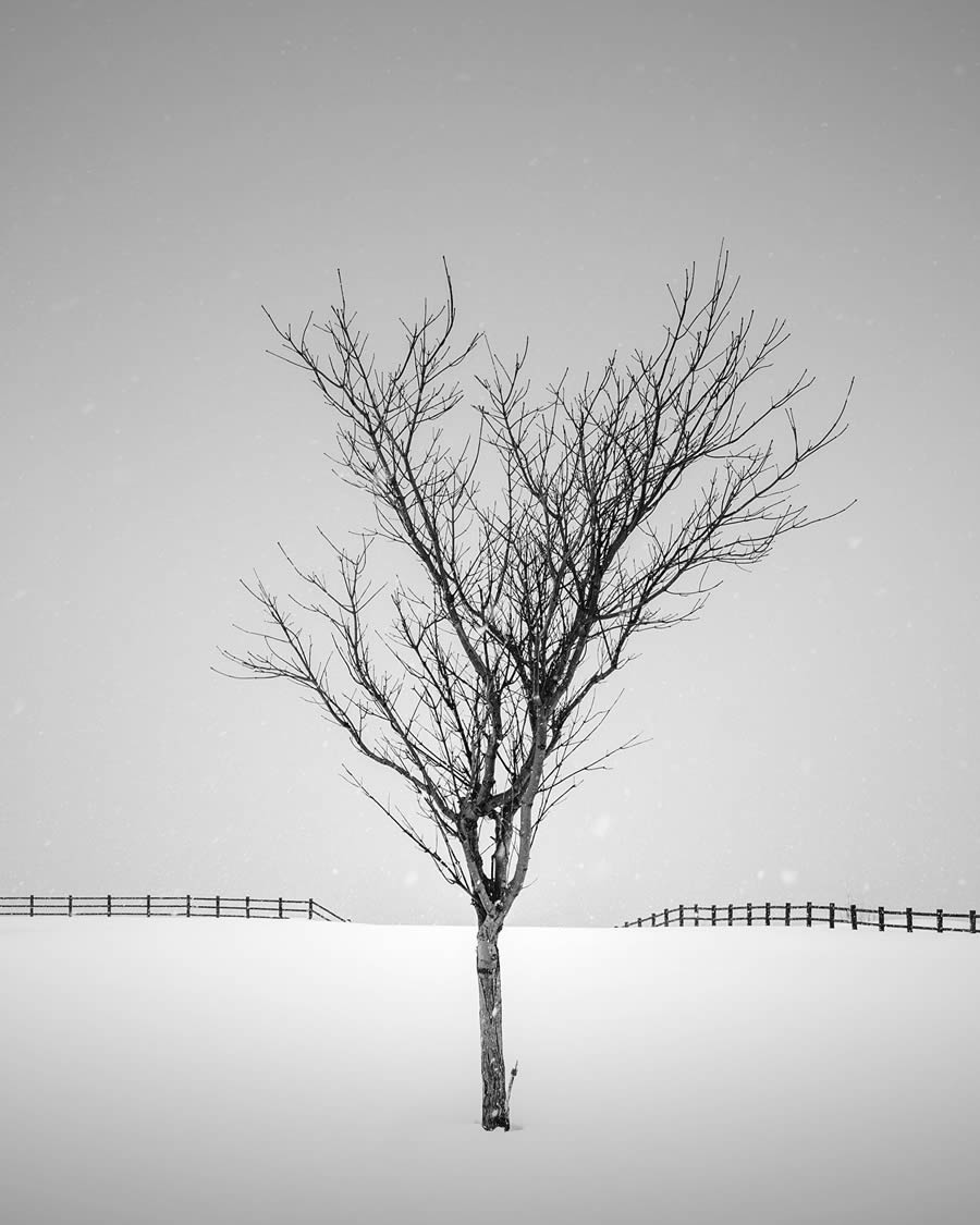 Long Exposure Black and White Landscape Photography by Jana Luo