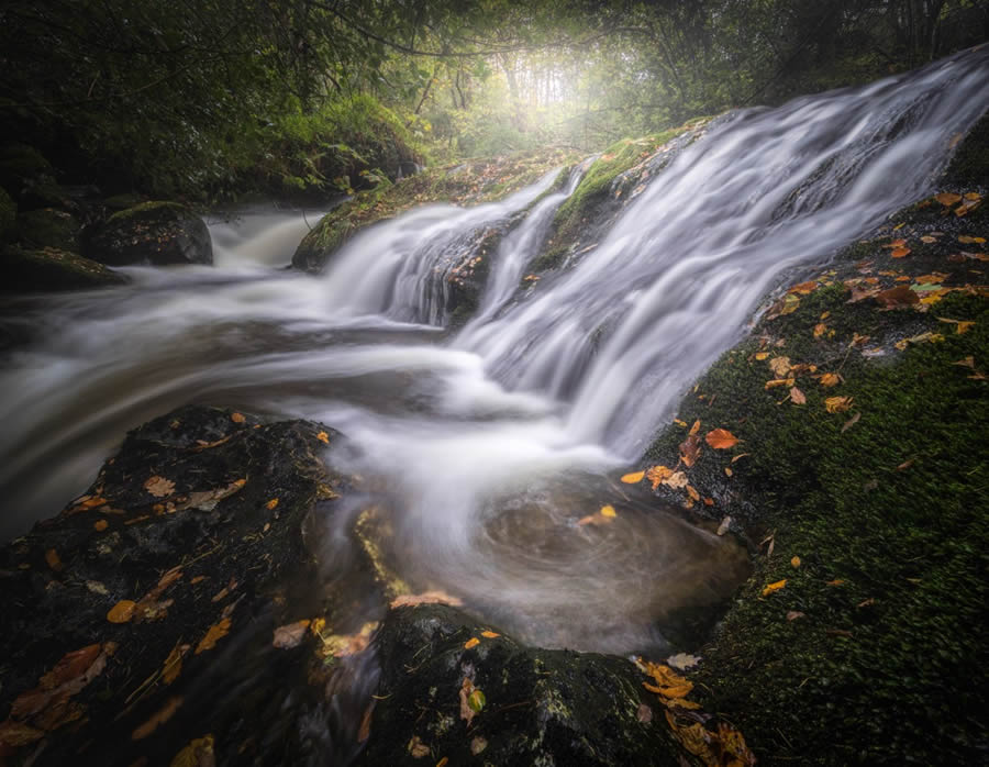 Nature Photographer of the Year 2024 Winners