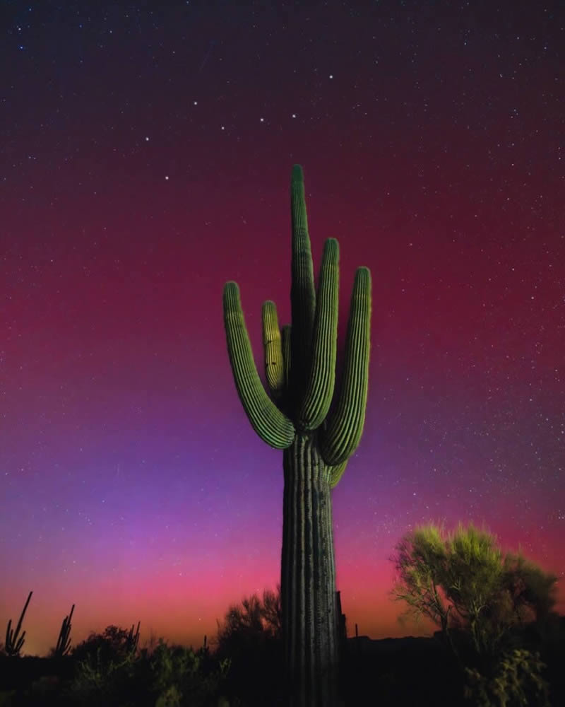 Northern Lights Photographer Of The Year 2024 Winners