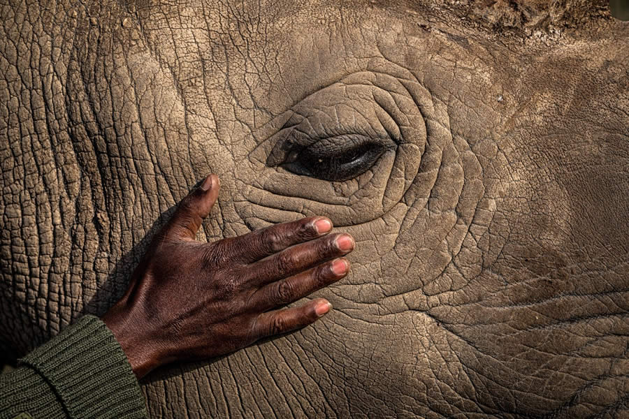 Our Nature Photo Awards 2024 Winners