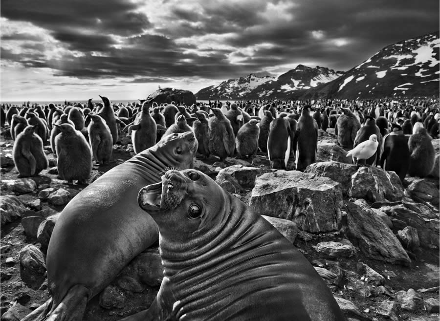 Sebastiao Salgado Famous Iconic Photos