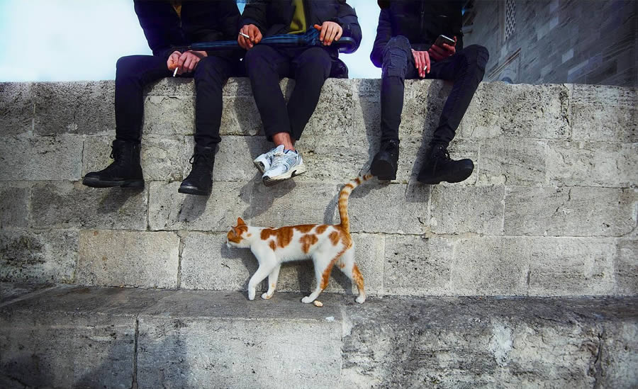 Turkish Street Photography by Yucelcetin