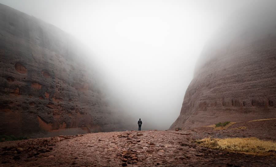 2024 Nature Conservancy Oceania Photo Contest Winners