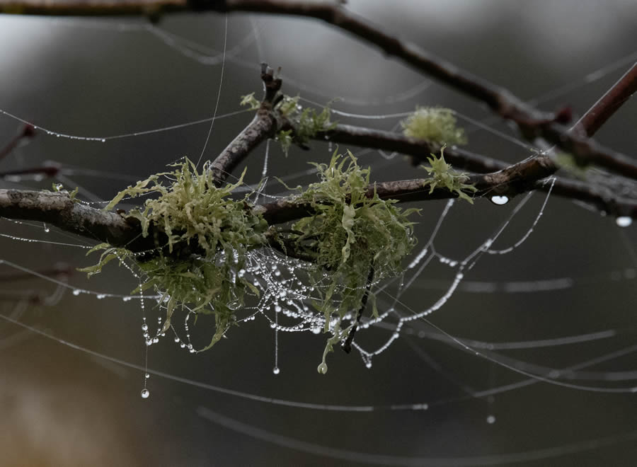 2024 Nature Conservancy Oceania Photo Contest Winners