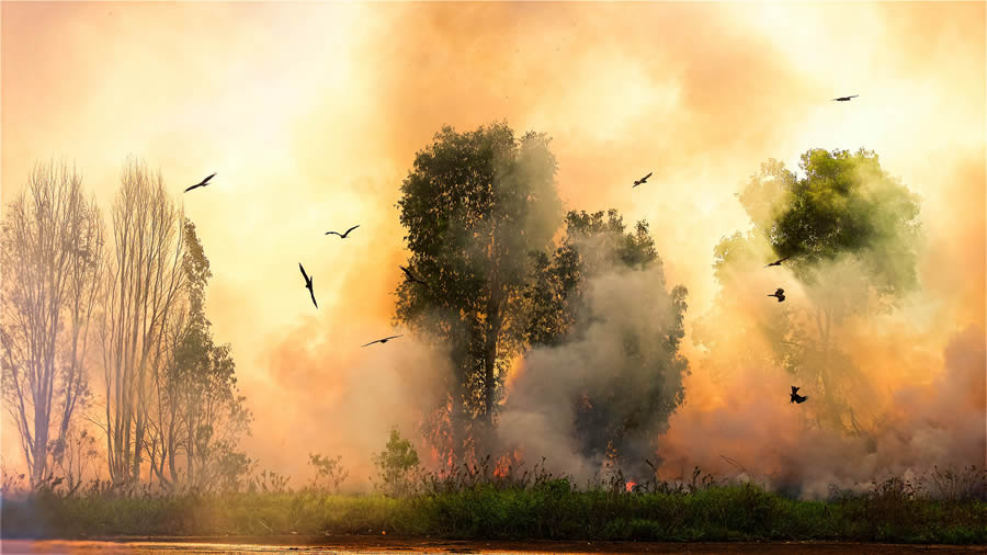 2024 Nature Conservancy Oceania Photo Contest Winners