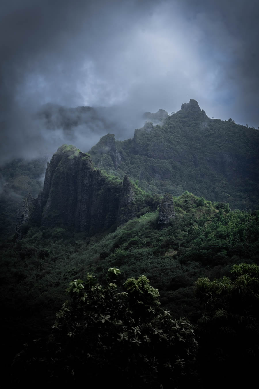 2024 Nature Conservancy Oceania Photo Contest Winners