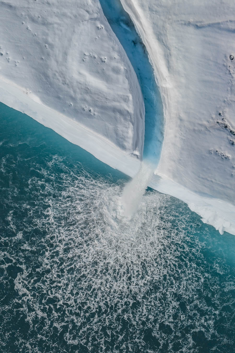 2024 Nature Conservancy Oceania Photo Contest Winners