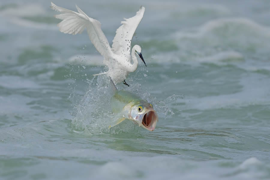 2024 Nature Conservancy Oceania Photo Contest Winners