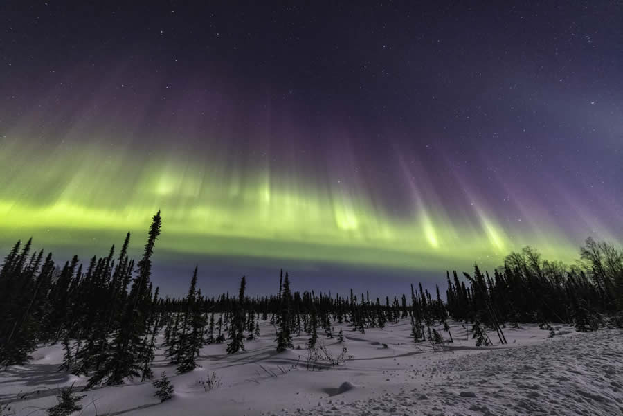 1839 Landscape Photographer of the Year Awards