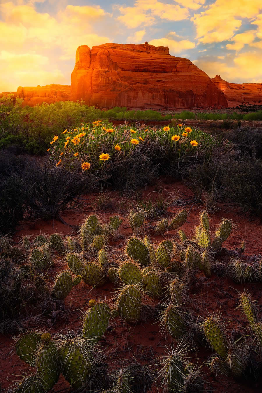 1839 Landscape Photographer of the Year Awards