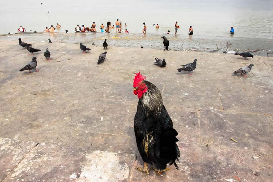 Bangladesh Street Photography by Md Enamul Kabir