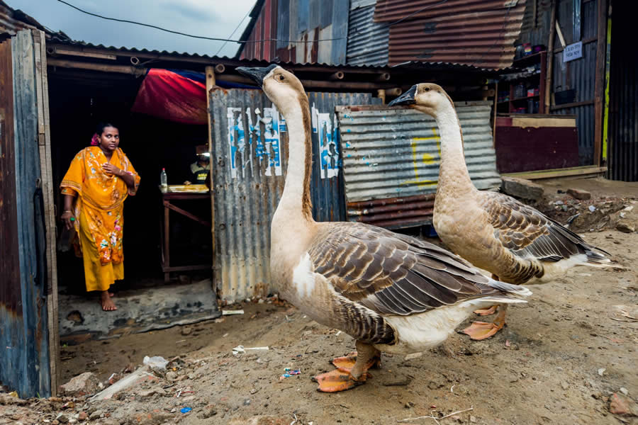 Bangladesh Street Photography by Md Enamul Kabir