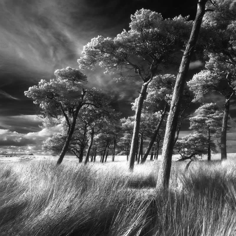 Best and Top Black and White Photography