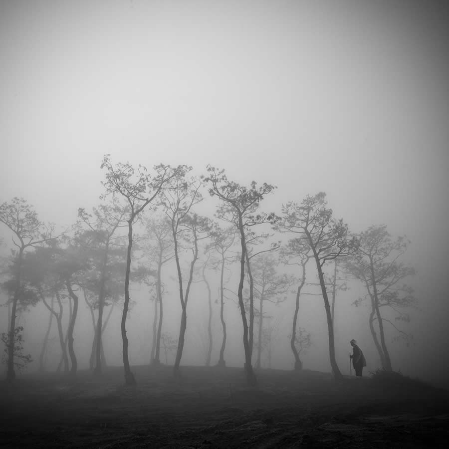 Black and White Fine Art Photography by Beomyoung Go