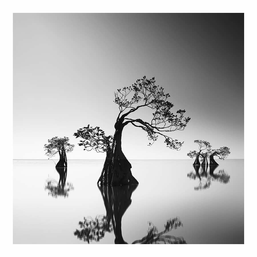 Black and White Landscape Photography by Yap Kh