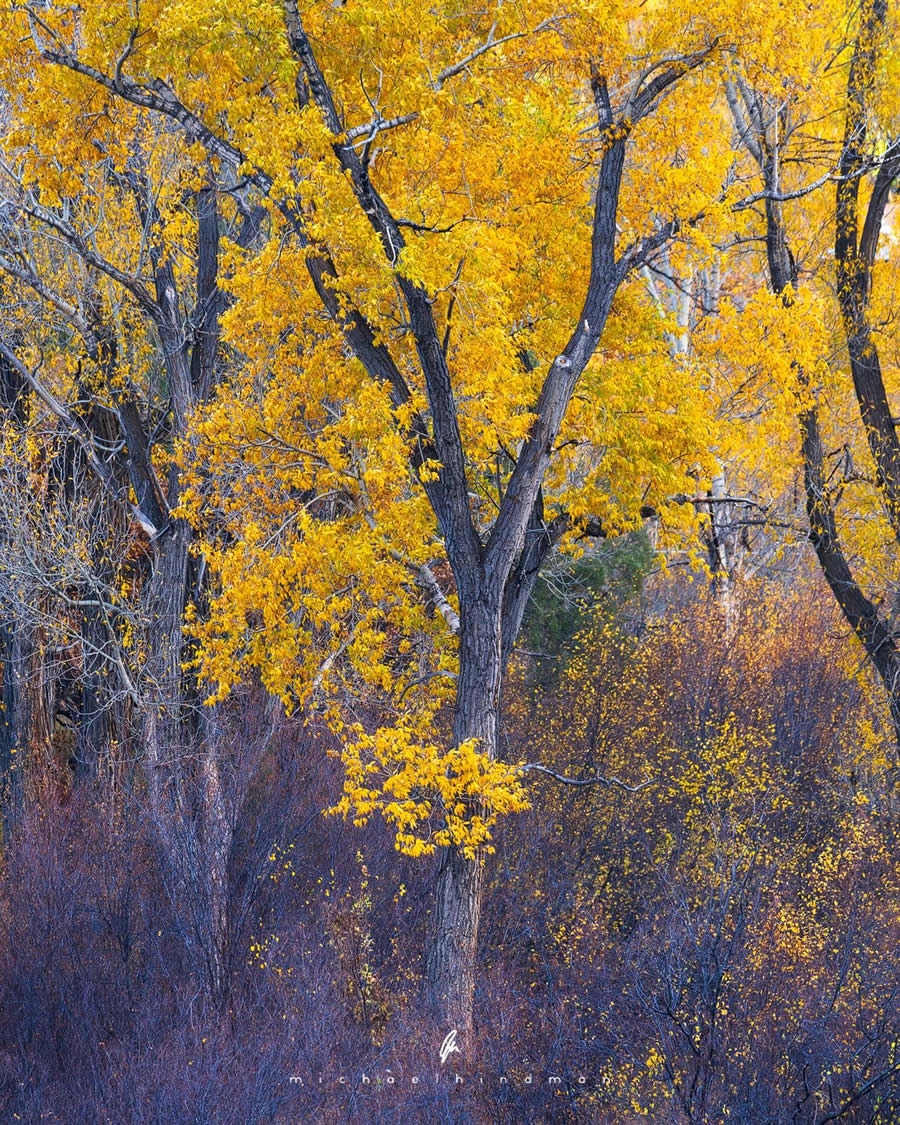 Fine Art Landscape Photography by Michael Hindman