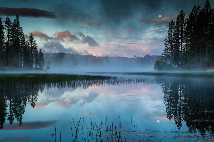 Life in Another Light Infrared Photography Contest 2024 Winners