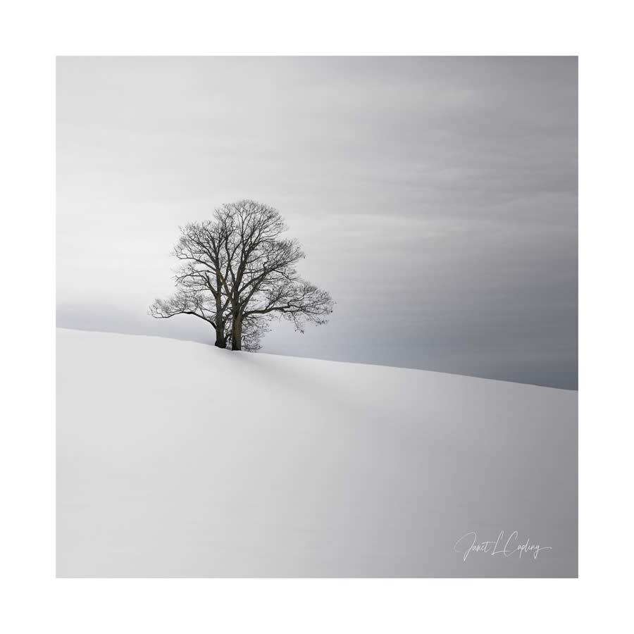 Minimalism Fine Art Landsape Photography by Janet Capling