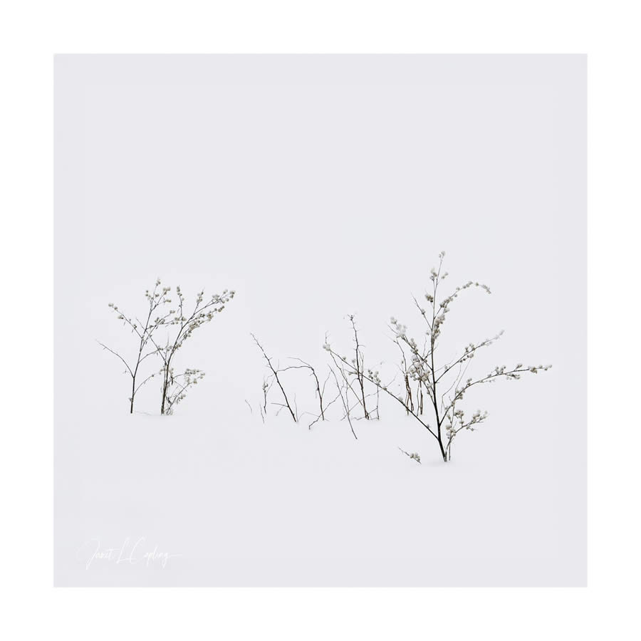 Minimalism Fine Art Landsape Photography by Janet Capling