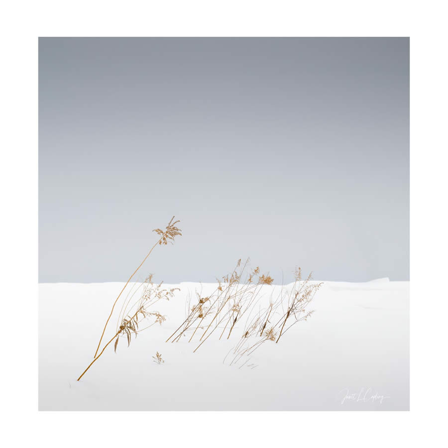 Minimalism Fine Art Landsape Photography by Janet Capling