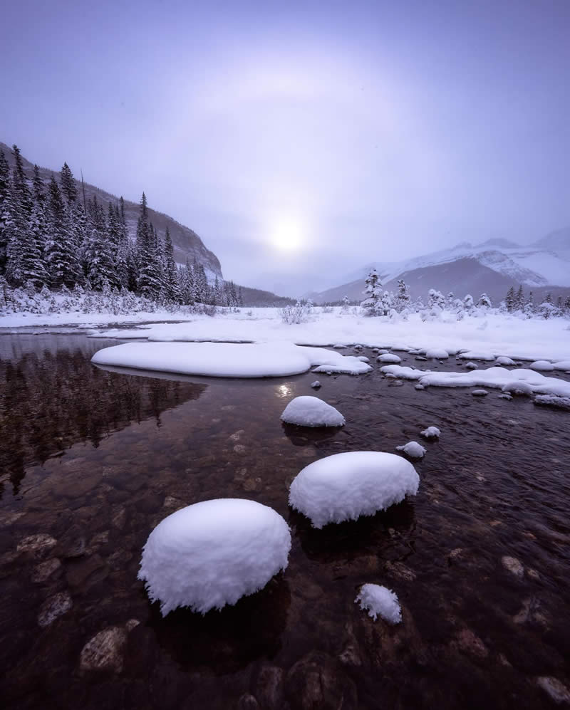 Canada Nature and Wildlife Photography by Alan Poelman