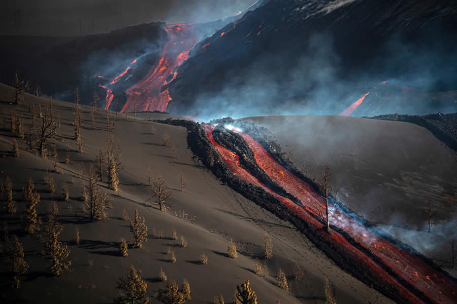 2024 OurNature Environmental Photography Awards