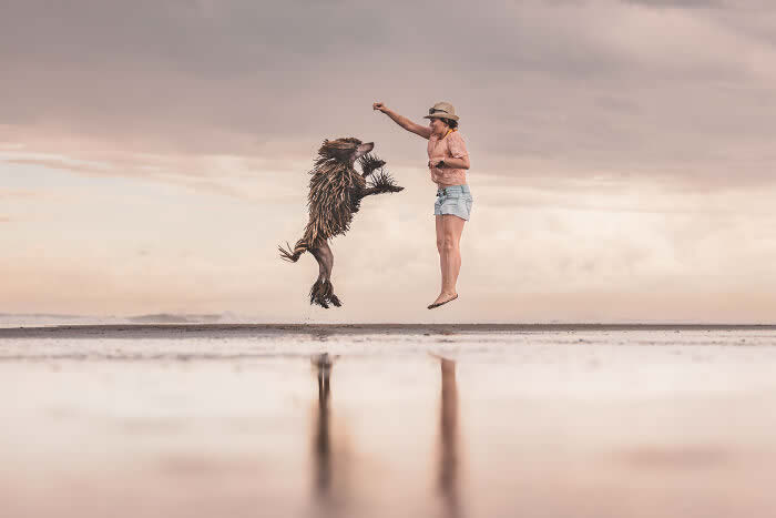 International Pet Photographer of the Year Awards 2024 Winners