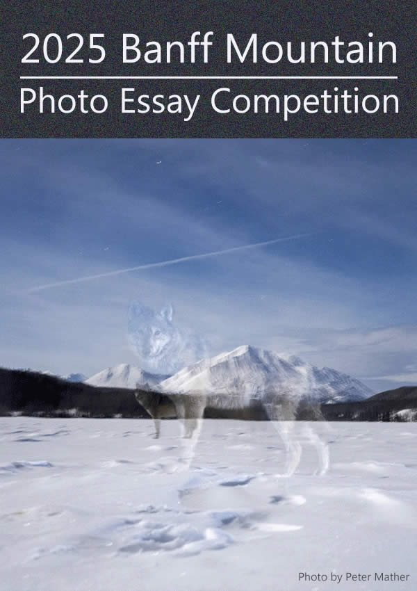 Top and Best Photography Competitions to Enter in 2025