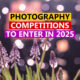 Top and Best Photography Competitions to Enter in 2025