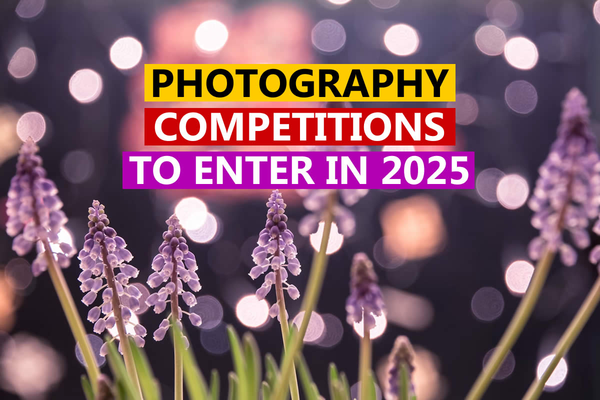 Top and Best Photography Competitions to Enter in 2025