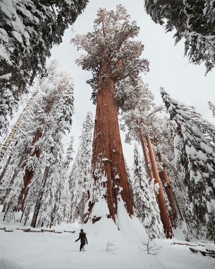 Nature and Life Created Picture-Perfect Wonders