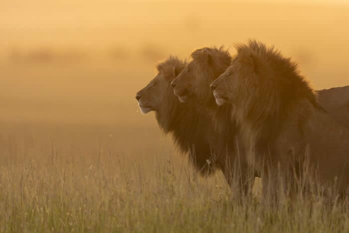 Refocus International Photographer of the Year Awards Winners