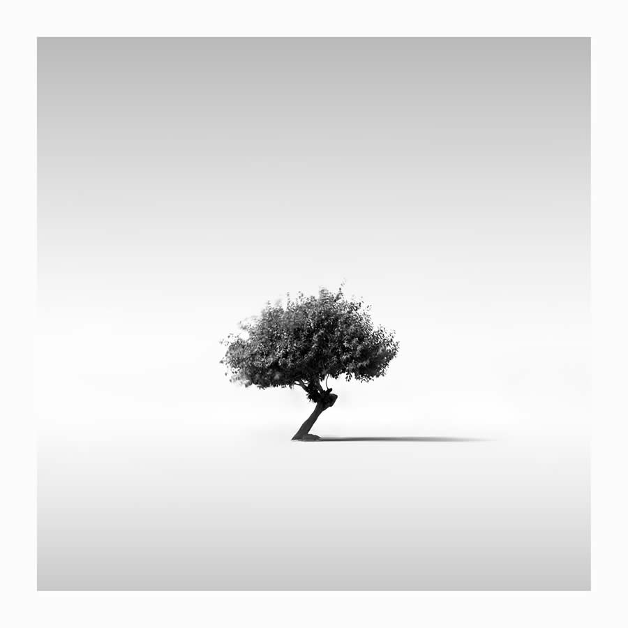 Black and White Fine Art Photography by Rohit Rattan