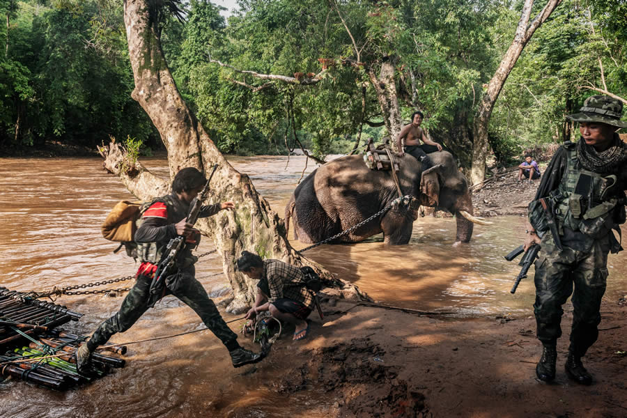 The Tokyo International Foto Awards 2024 Winners