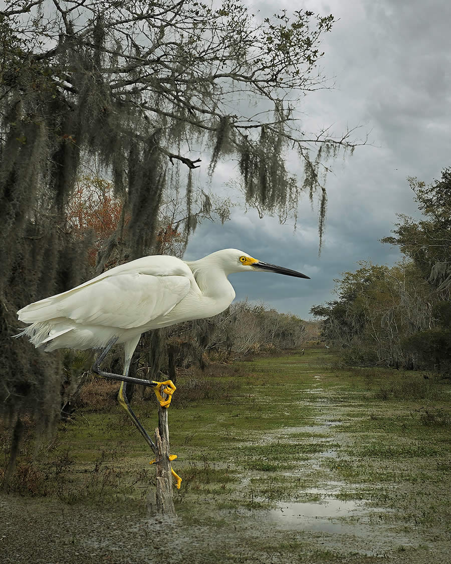 The Tokyo International Foto Awards 2024 Winners