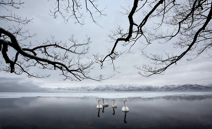 Wildlife Photography by Paul Mckenzie