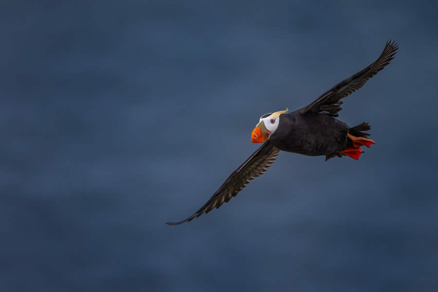 Landscape and Wildlife Photography by John Meragias