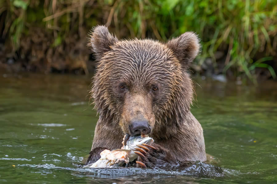 Landscape and Wildlife Photography by John Meragias