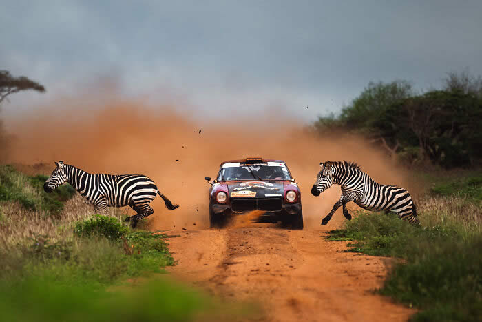 World Sports Photography Award Winners 2025