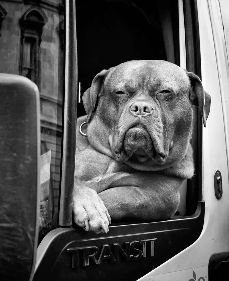 Black and White Street Photography Gallery