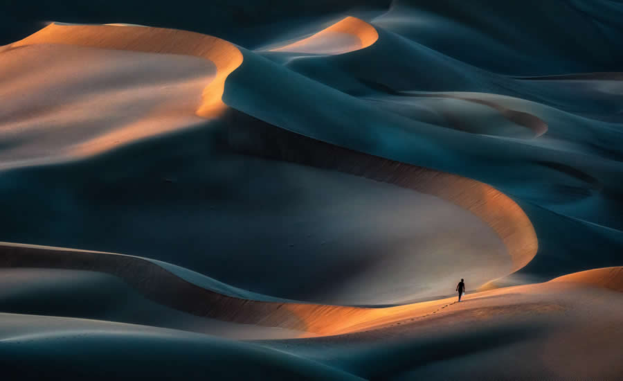 Nature Photos from the Budapest International Foto Awards 2024