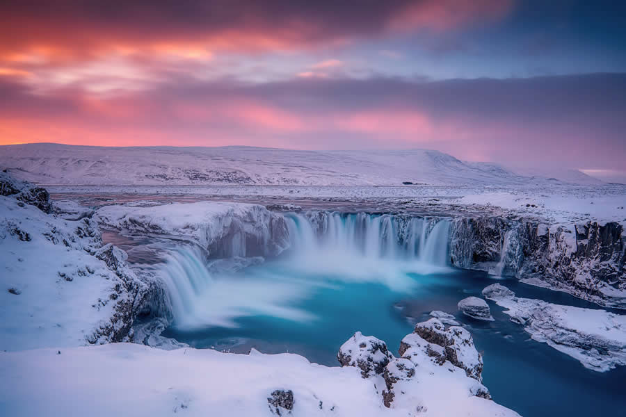 Nature Photos from the Budapest International Foto Awards 2024