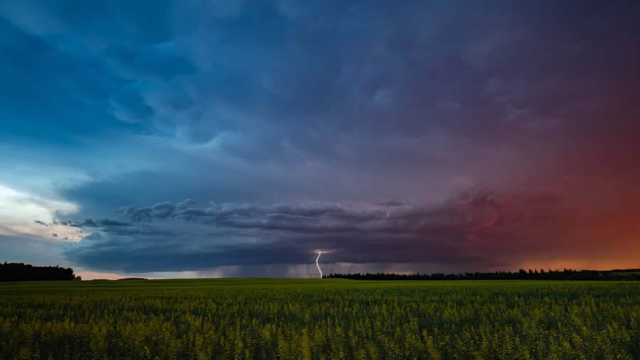 2024 Canadian Photos of the Year Competition Winners