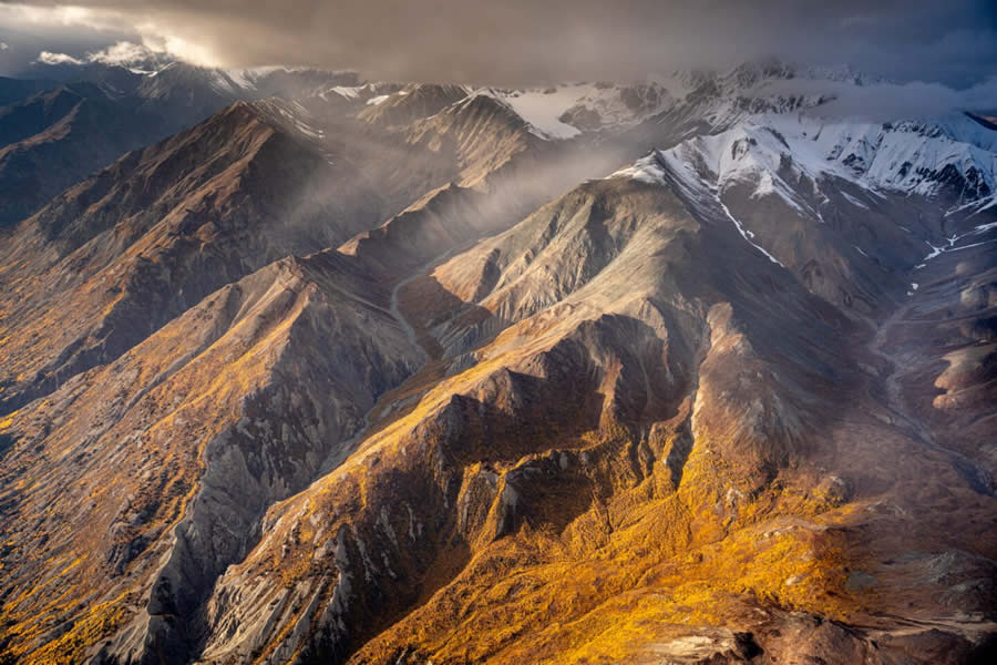 2024 Canadian Photos of the Year Competition Winners