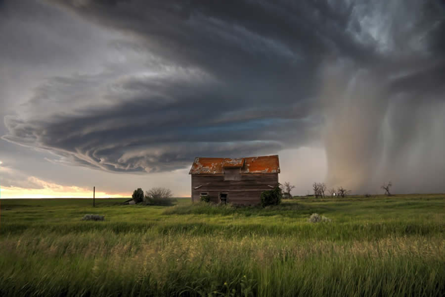 2024 Canadian Photos of the Year Competition Winners